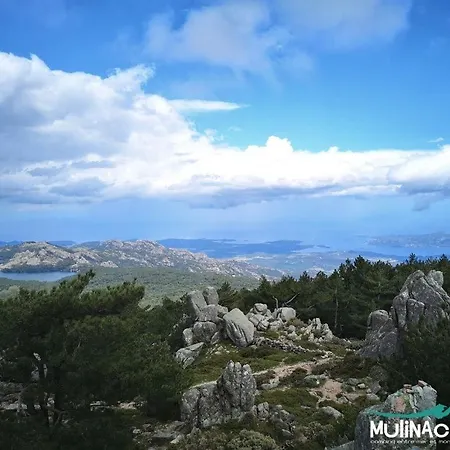 Mulinacciu 3*